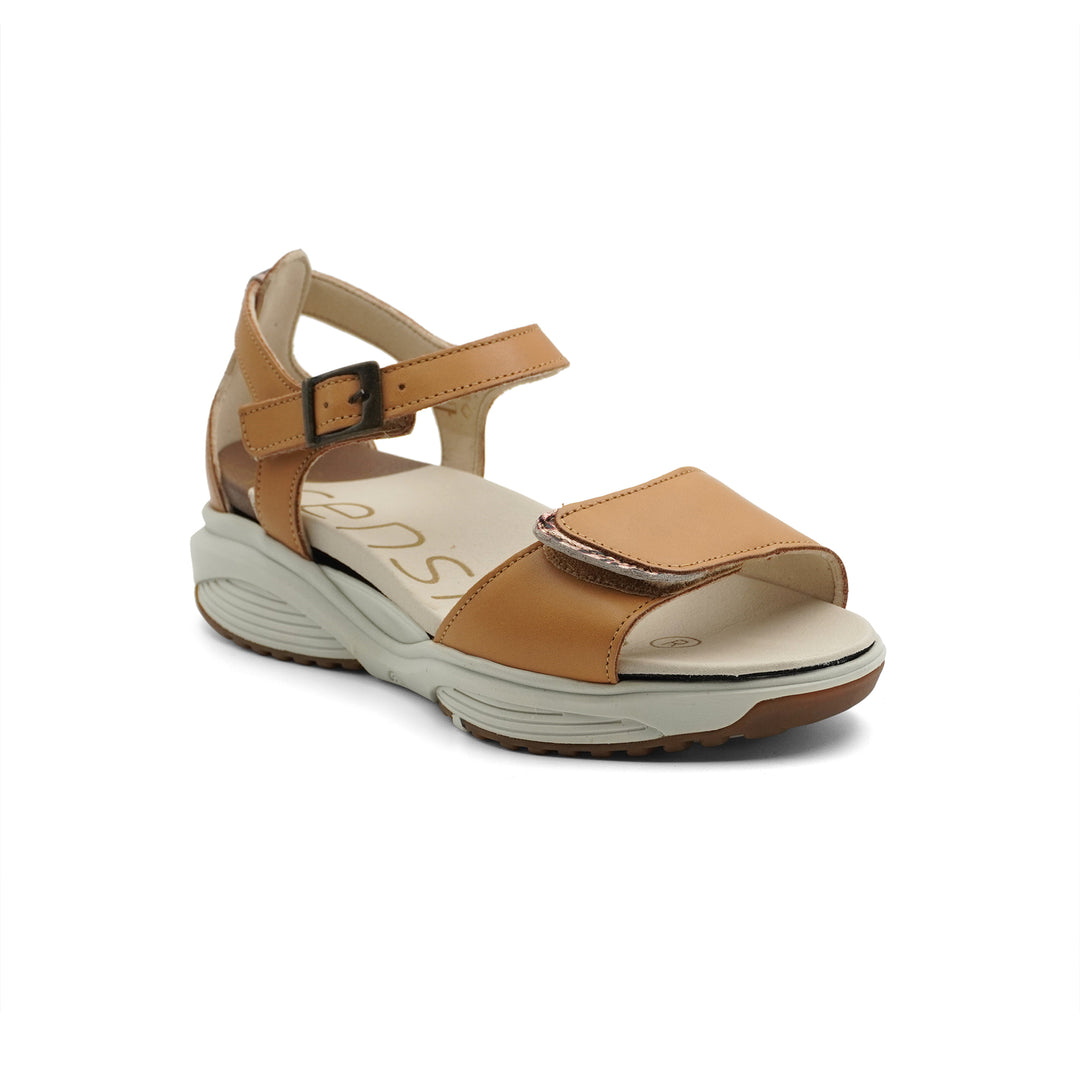 Xsensible Stretchwalker Keria