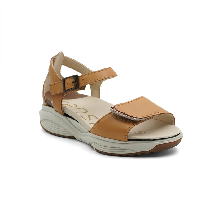 Xsensible Stretchwalker Keria